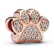 Korálik Pandora Moments