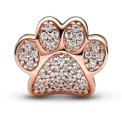 Korálik Pandora Moments