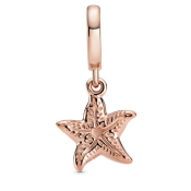 Prívesok Pandora Moments