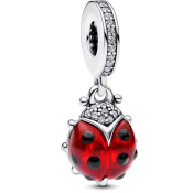 Obesek Pandora Moments