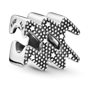 Korálik Pandora Moments