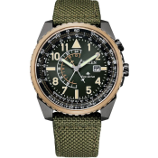 Citizen Promaster