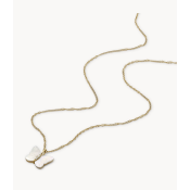 Fossil Radiant Wings