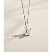 Fossil Radiant Wings