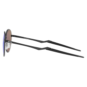 Oakley Terrigal PRIZM Polarized