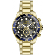 Invicta Pro Diver