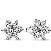 Náušnice Pandora Moments