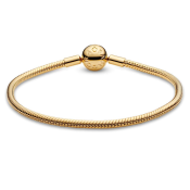 Zapestnica Pandora Moments