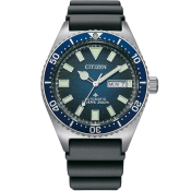 Citizen Promaster