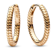 Náušnice Pandora Moments