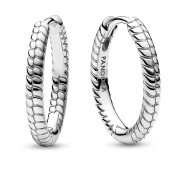 Náušnice Pandora Moments