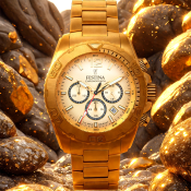 Festina Timeless Chronograph
