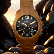 Festina Timeless Chronograph