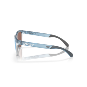 Oakley Frogskins Range