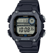 Casio Classic