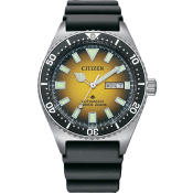 Citizen Promaster