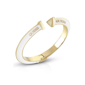 Guess Hoops Don T Lie