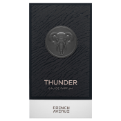 French Avenue Thunder parfémovaná voda pro muže 100 ml