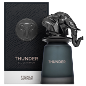 French Avenue Thunder parfémovaná voda pro muže 100 ml