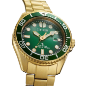 Citizen Promaster