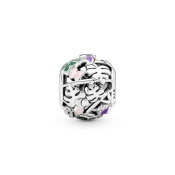 Charm Pandora Moments