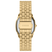 Fossil Harlow