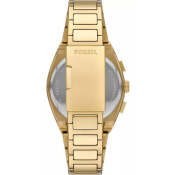 Fossil Everett