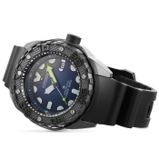 Citizen Promaster