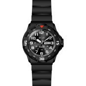 Invicta Coalition Forces