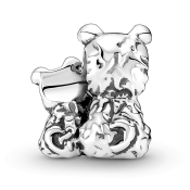 Charm Pandora Moments