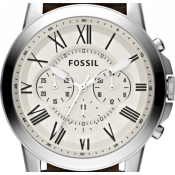 Fossil Grant