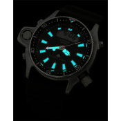 Citizen Promaster