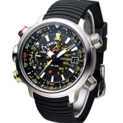 Citizen Promaster