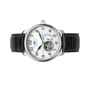 Zeppelin LZ127 Graf Zeppelin