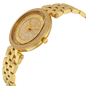 Michael Kors Mini Darci