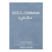 Dolce & Gabbana Light Blue Pour Homme toaletná voda pre mužov 125 ml