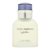 Dolce & Gabbana Light Blue Pour Homme toaletná voda pre mužov 40 ml