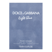 Dolce & Gabbana Light Blue Pour Homme toaletná voda pre mužov 75 ml