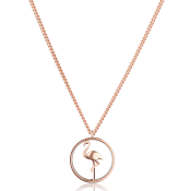 Paul Hewitt Tropicool