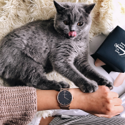 Paul Hewitt  Sailor