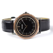 Citizen Eco-Drive One