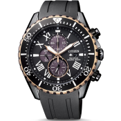 Citizen Promaster