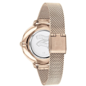 Tommy Hilfiger Project Z