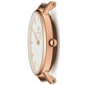 Daniel Wellington Petite Melrose 36