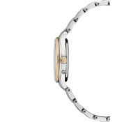 Citizen Radio Controlled