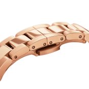 Daniel Wellington Iconic Link