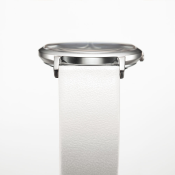 Citizen Super Titanium