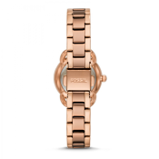 Fossil The Minimalist