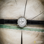 Zeppelin 100 Years Zeppelin