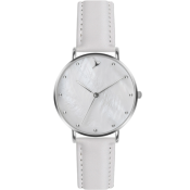 Emily Westwood Seashell